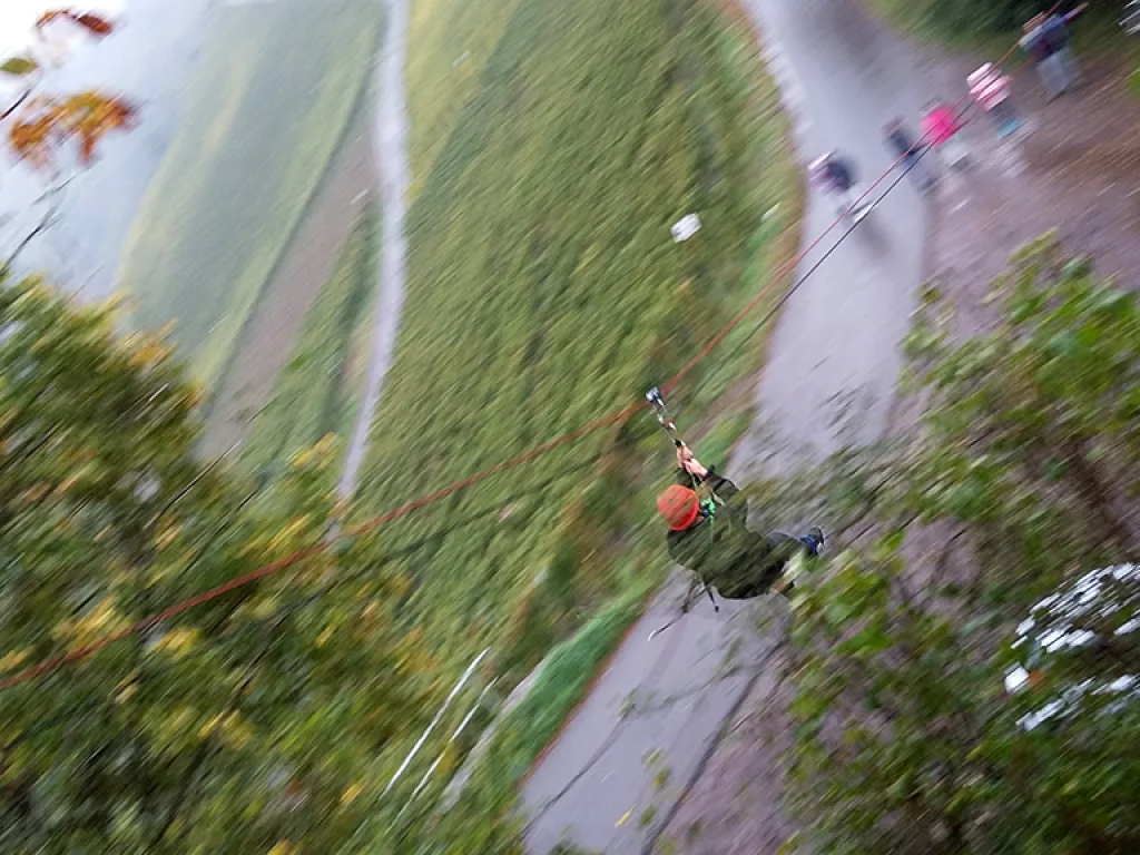 Blick über den Weinberg auf die Fahrt der Seilrutsche.